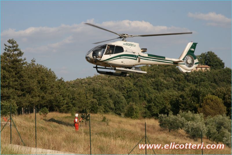 elifoto (149)